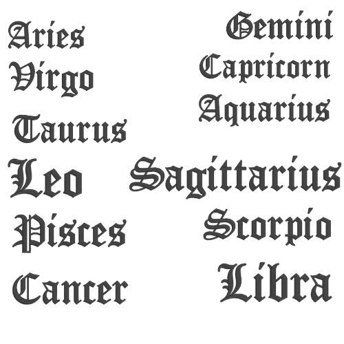 Zodiac Crewneck | Embroidered 3D Design